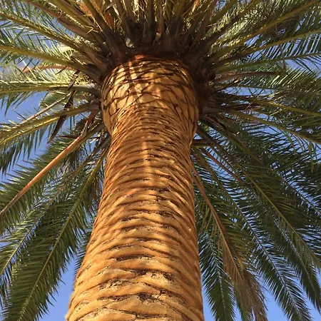 Feriehus Montinho Tiny House *