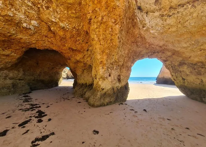 度假居 Montinho Tiny House